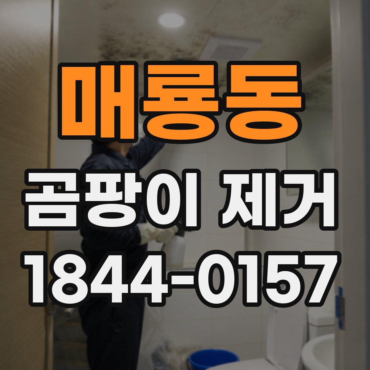 매룡동 곰팡이 제거