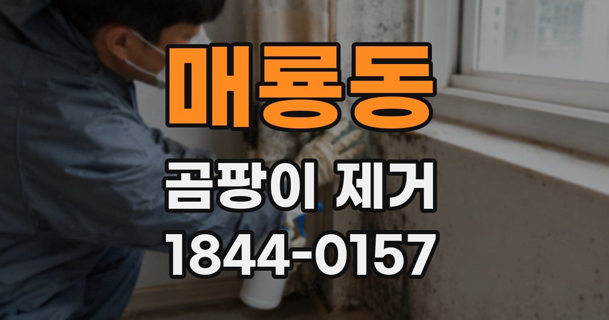 매룡동 곰팡이 제거