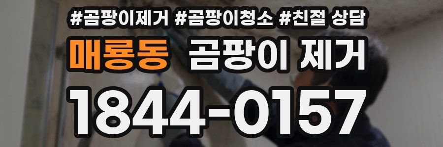 매룡동 곰팡이 제거