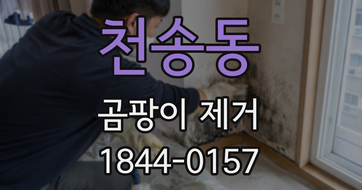천송동 곰팡이 제거