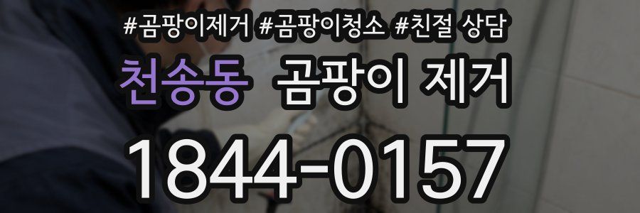 천송동 곰팡이 제거