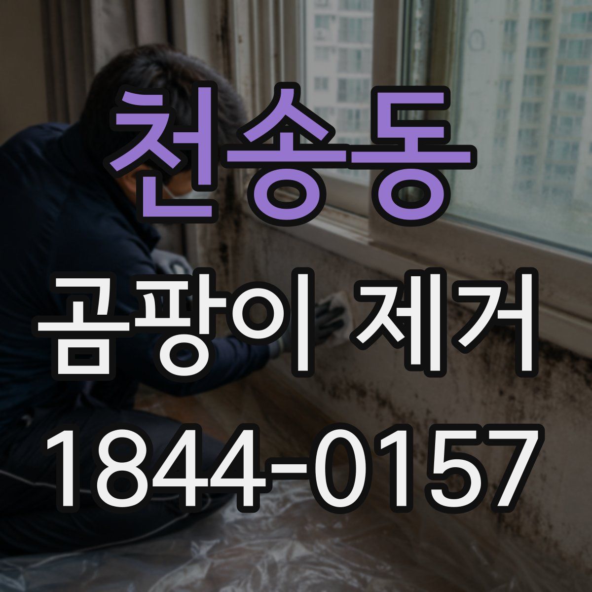 천송동 곰팡이 제거