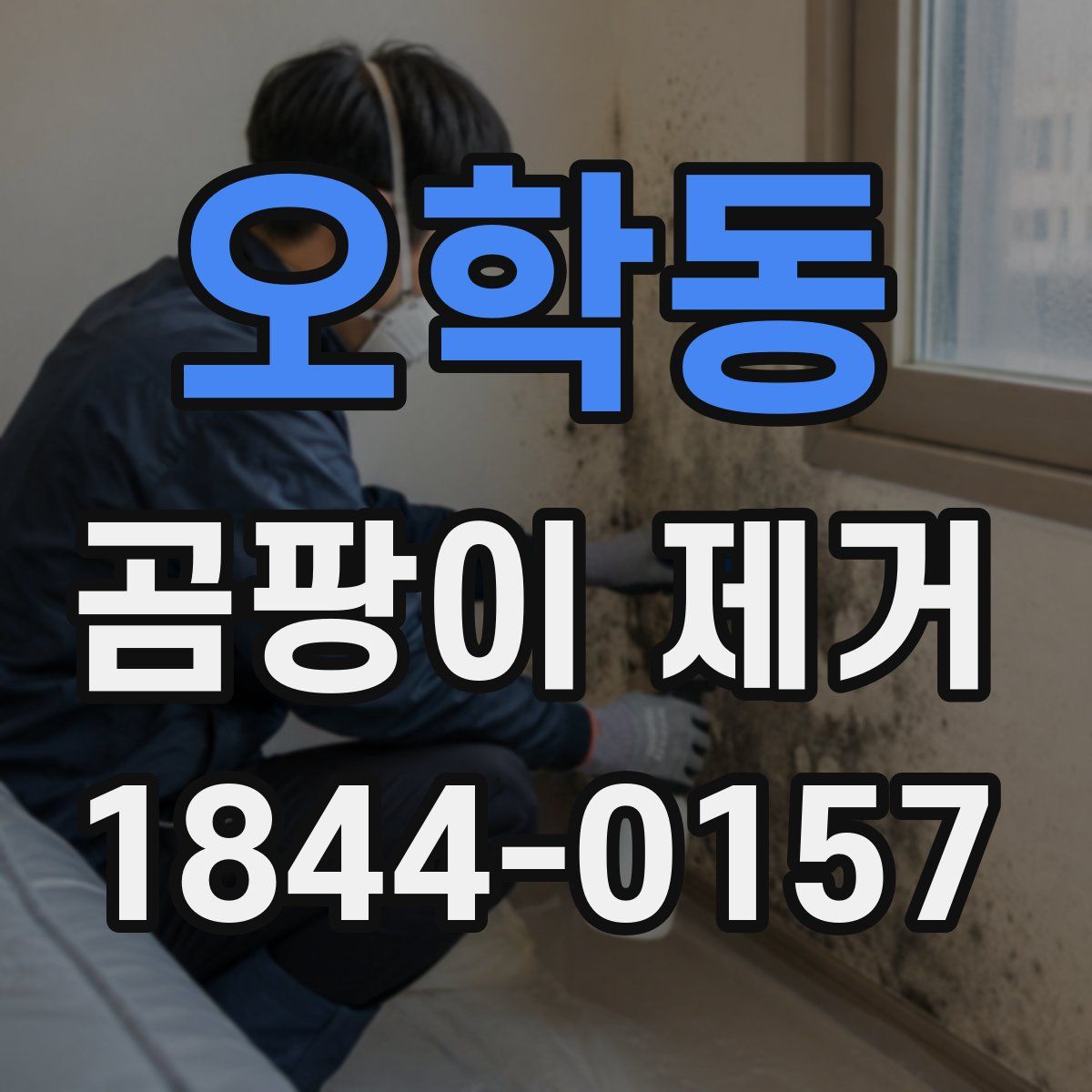 오학동 곰팡이 제거