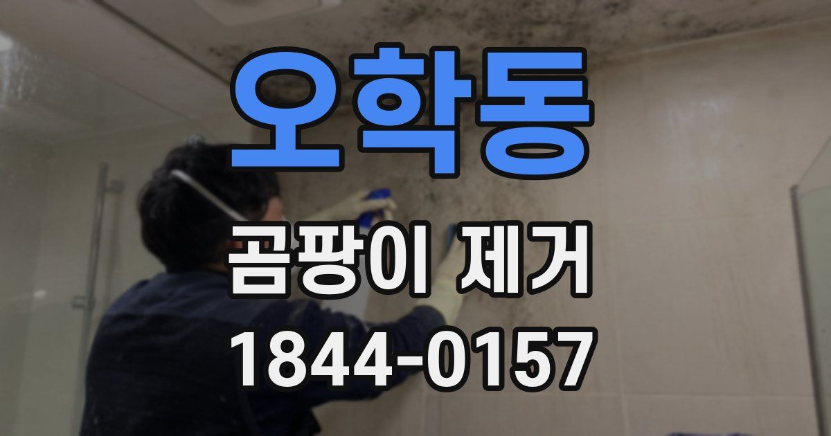 오학동 곰팡이 제거