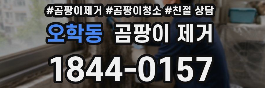 오학동 곰팡이 제거