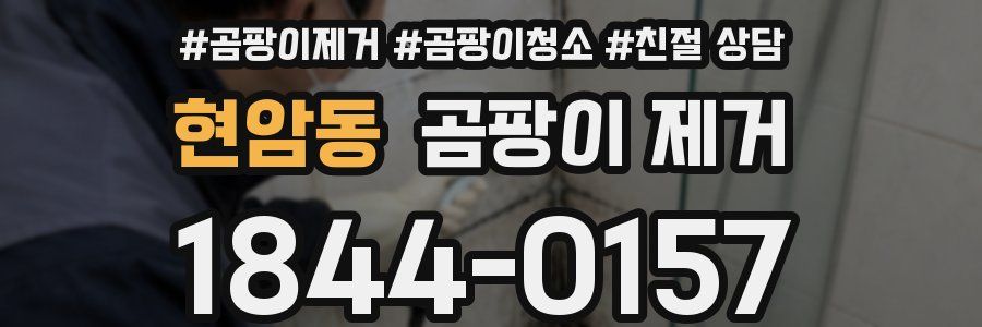 현암동 곰팡이 제거