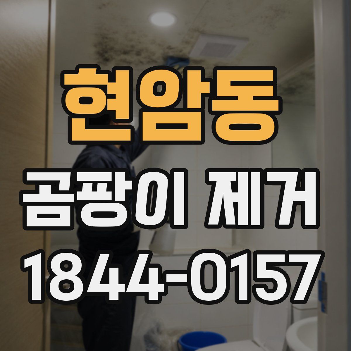 현암동 곰팡이 제거