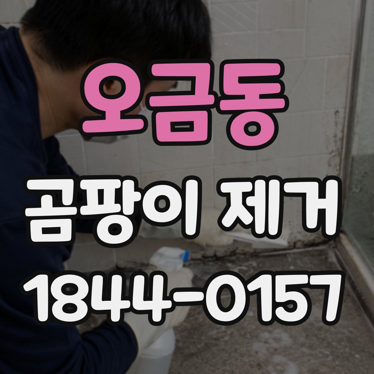 오금동 곰팡이 제거