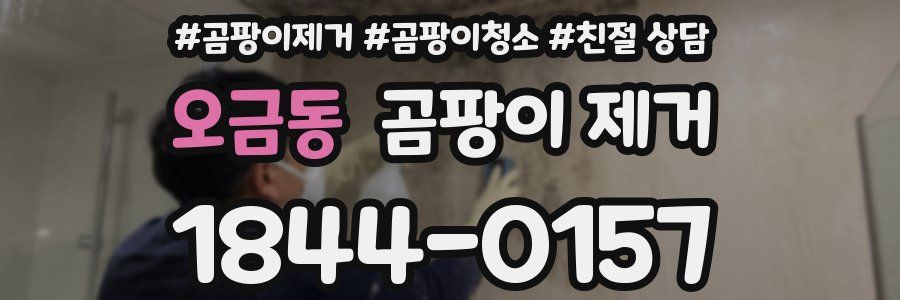 오금동 곰팡이 제거
