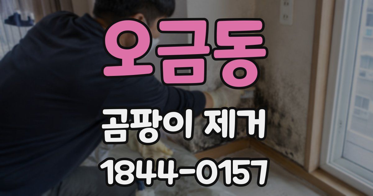 오금동 곰팡이 제거