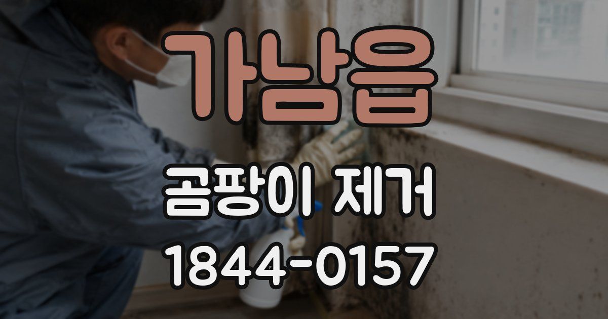 가남읍 곰팡이 제거
