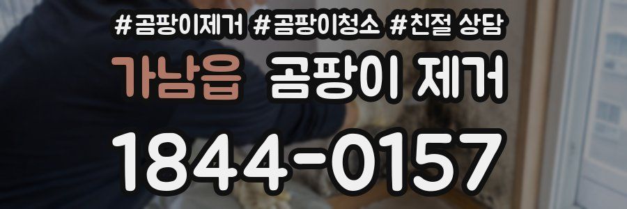 가남읍 곰팡이 제거
