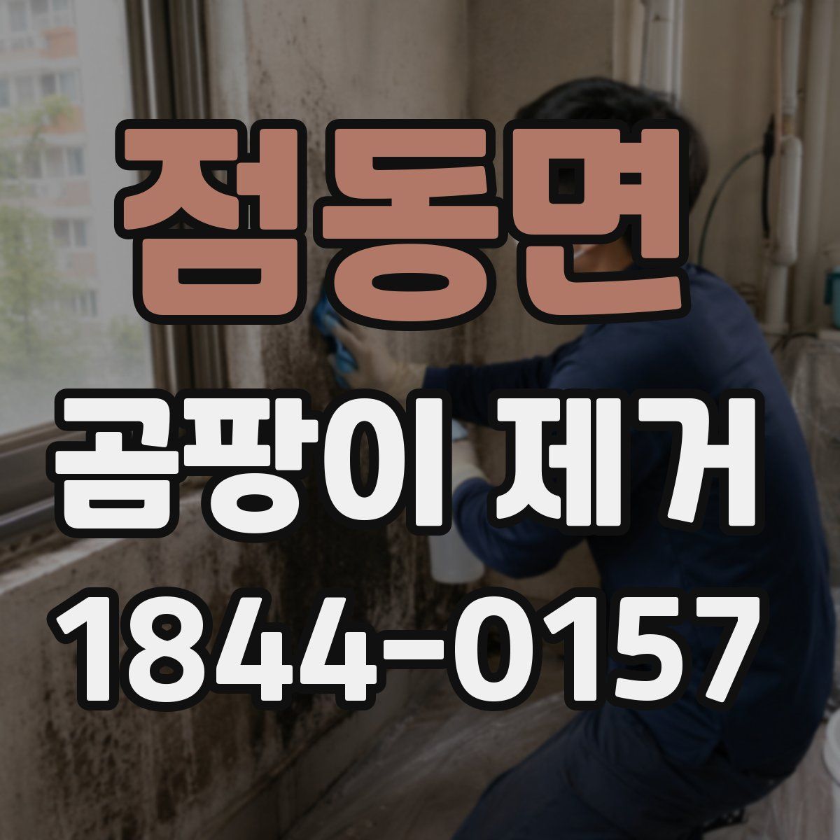 점동면 곰팡이 제거