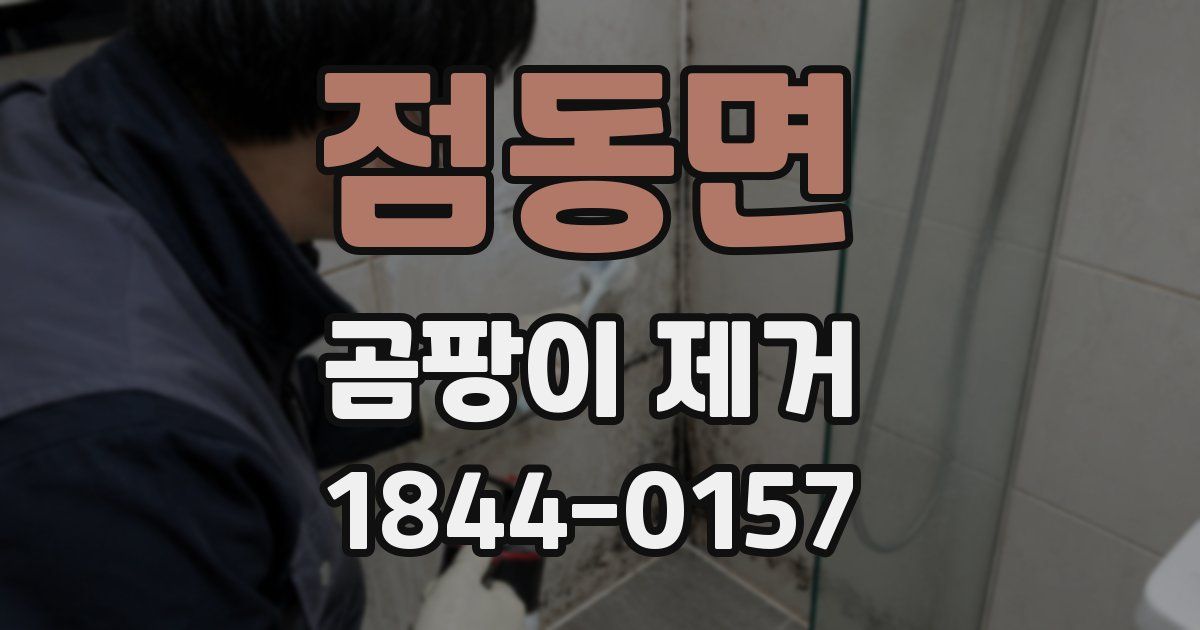 점동면 곰팡이 제거