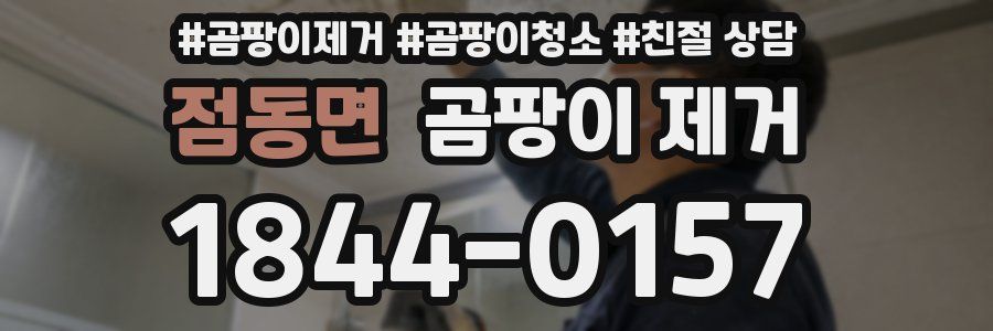 점동면 곰팡이 제거