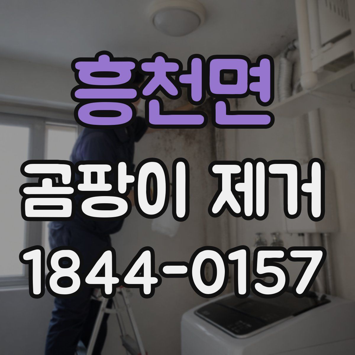 흥천면 곰팡이 제거