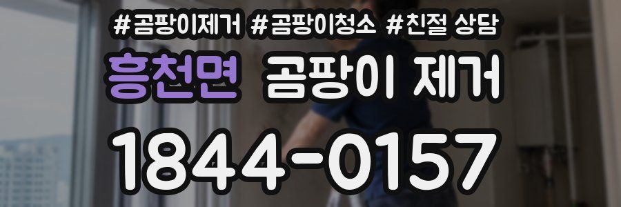 흥천면 곰팡이 제거