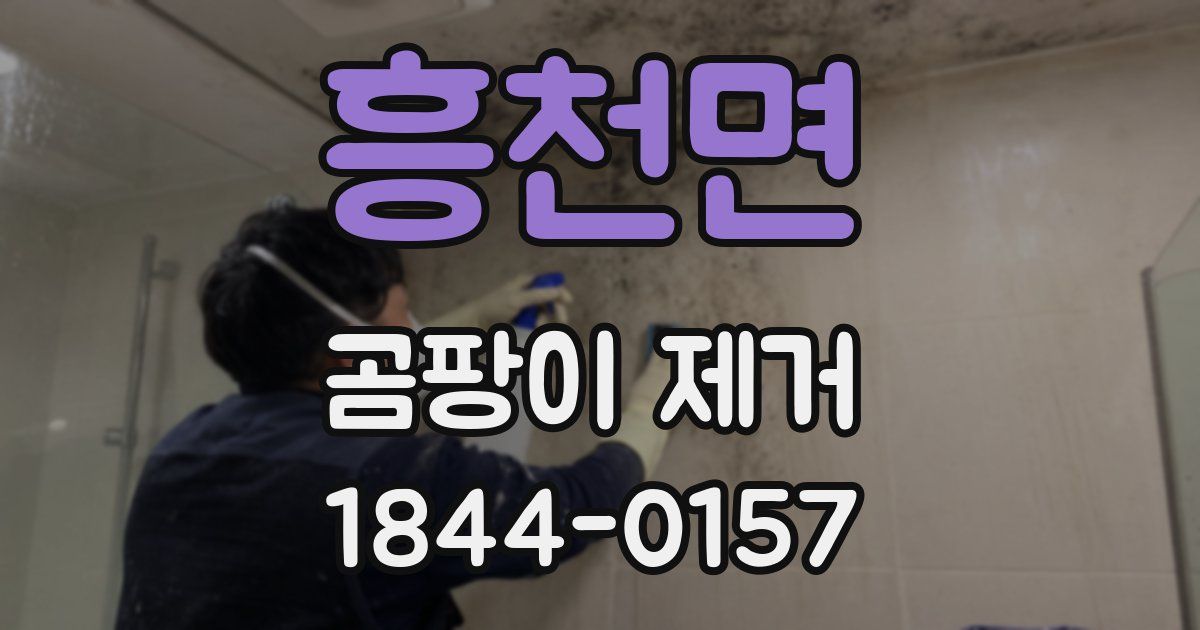 흥천면 곰팡이 제거
