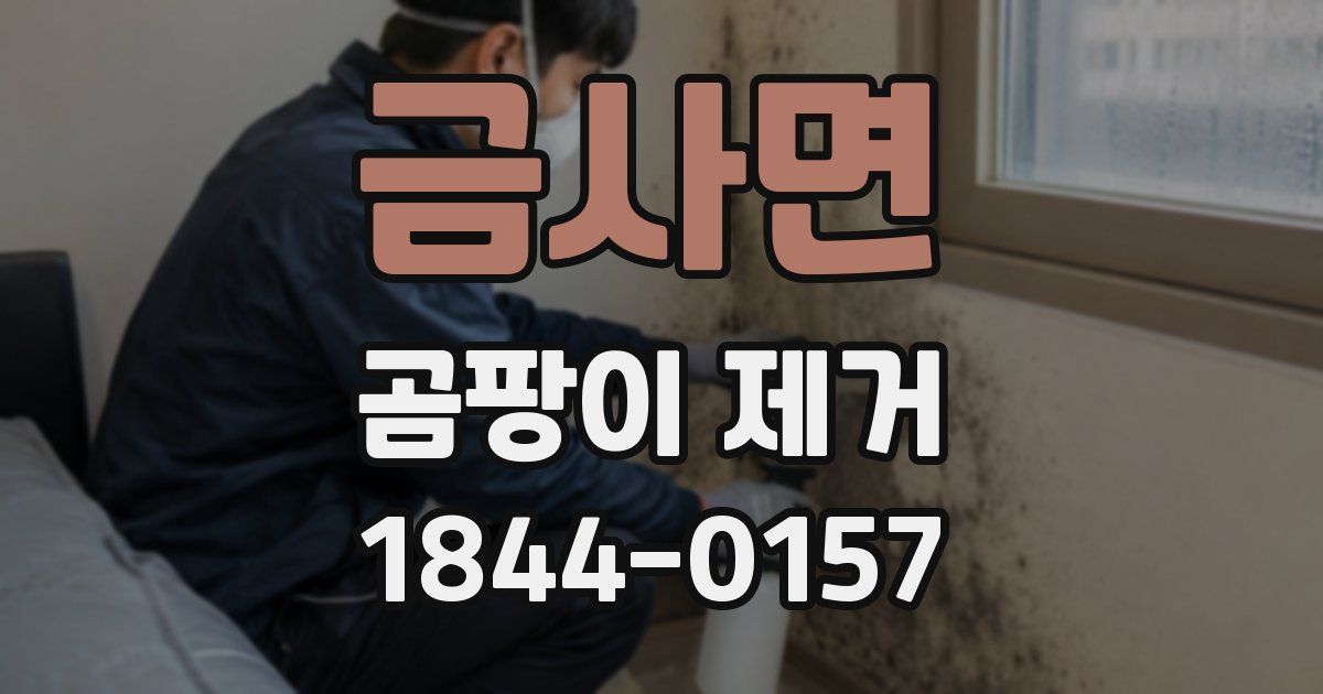 금사면 곰팡이 제거