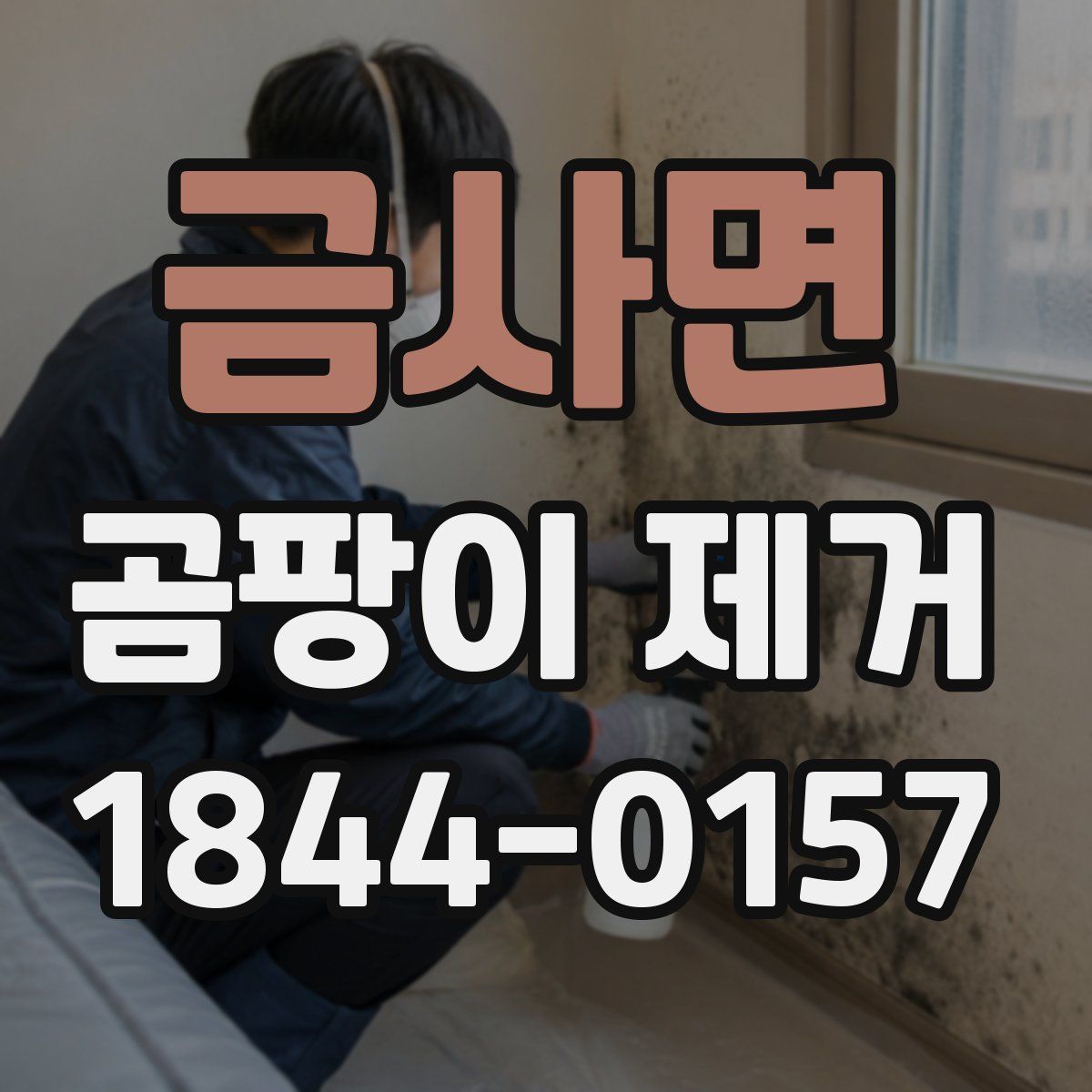 금사면 곰팡이 제거