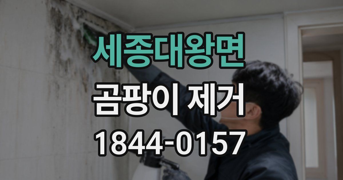 세종대왕면 곰팡이 제거