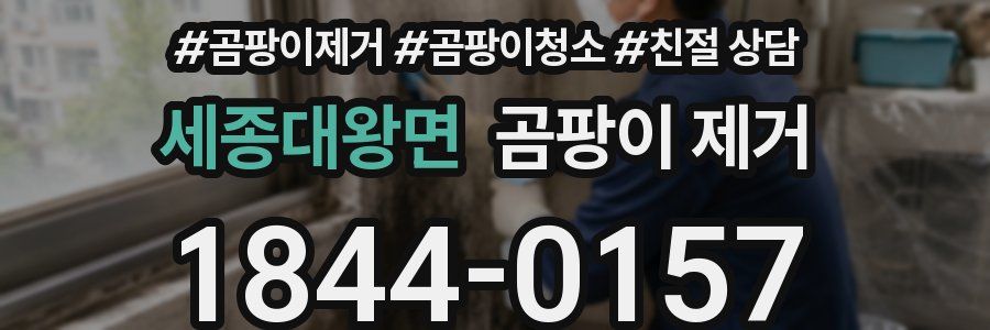 세종대왕면 곰팡이 제거