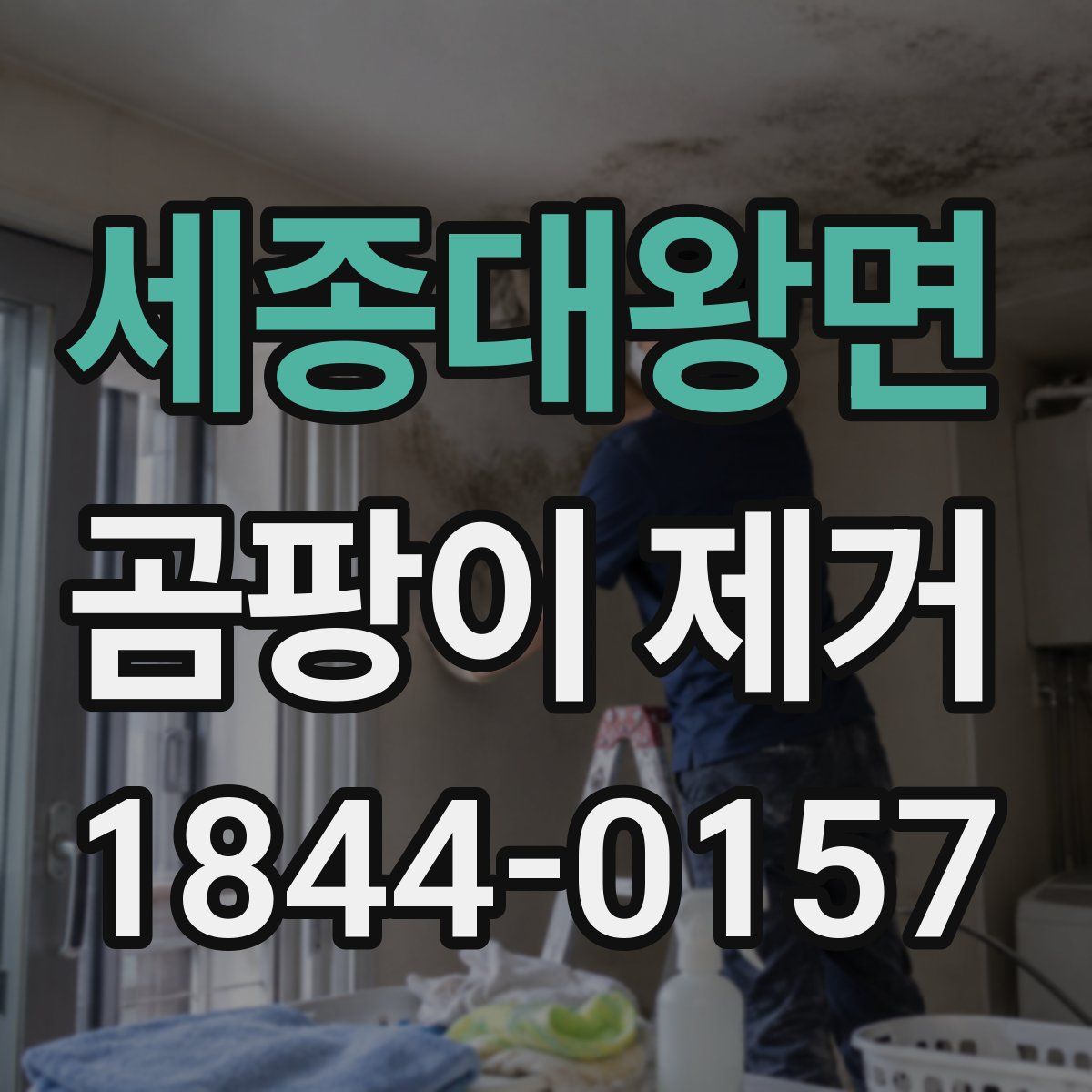 세종대왕면 곰팡이 제거