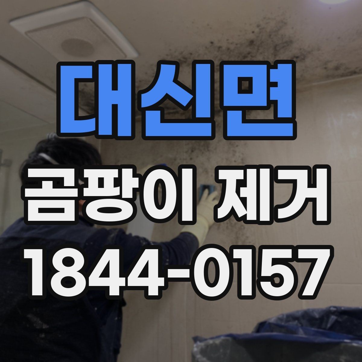 대신면 곰팡이 제거 업체 비교 시 놓치기 쉬운 항목