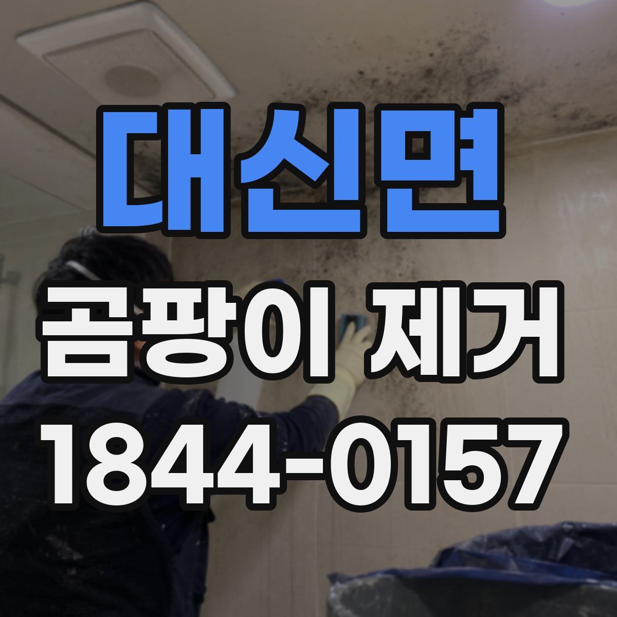 대신면 곰팡이 제거