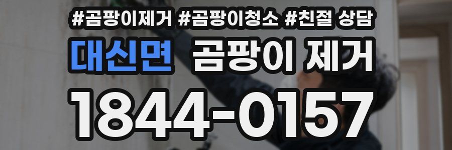 대신면 곰팡이 제거