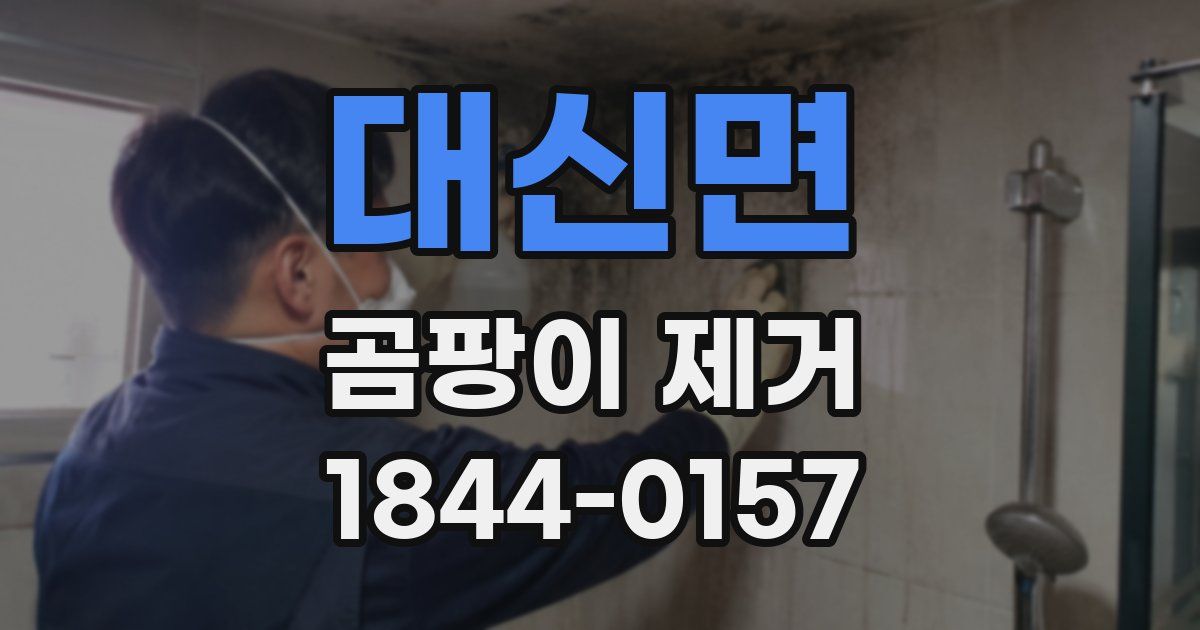 대신면 곰팡이 제거