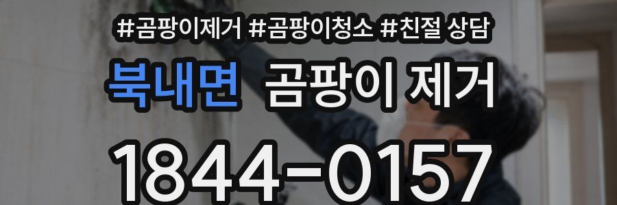 북내면 곰팡이 제거