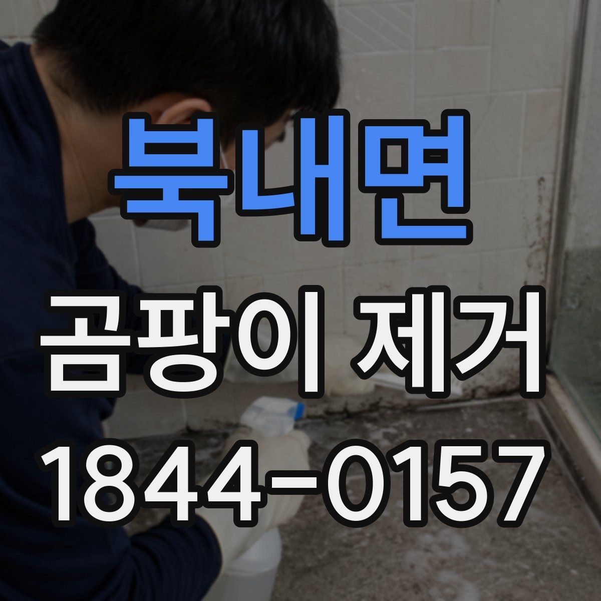 북내면 곰팡이 제거