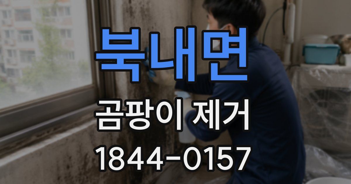북내면 곰팡이 제거