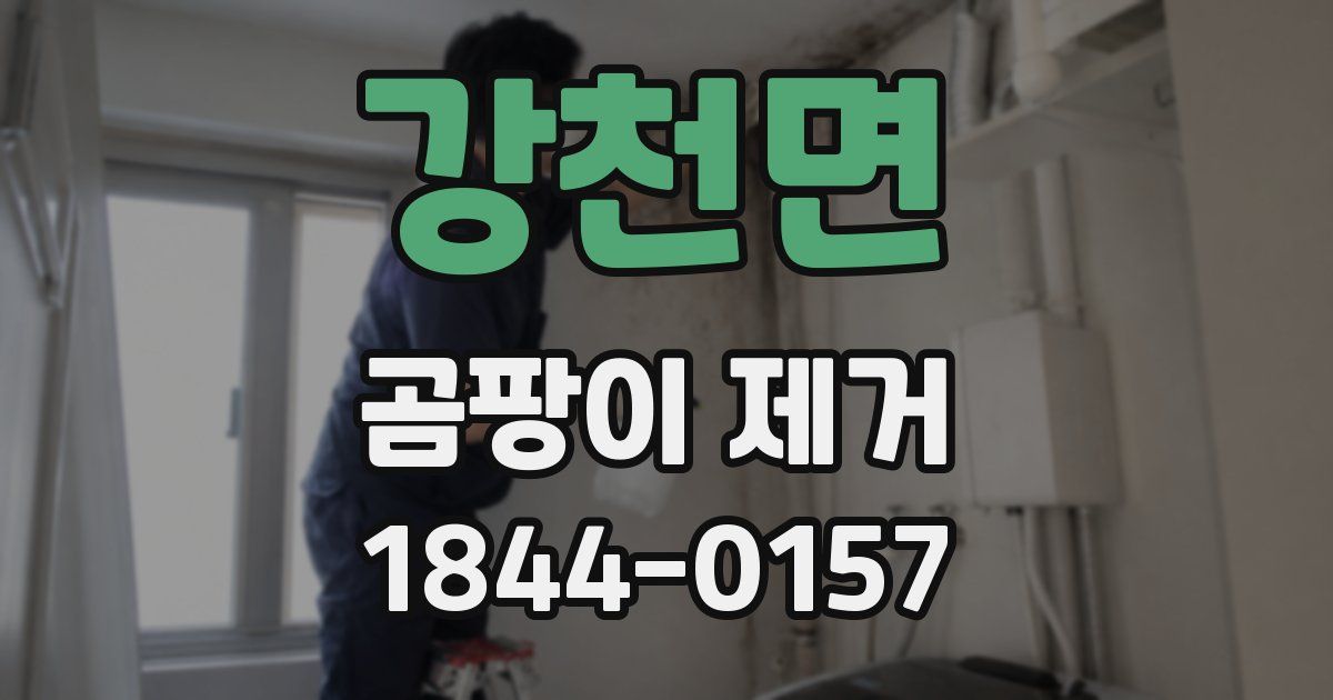 강천면 곰팡이 제거