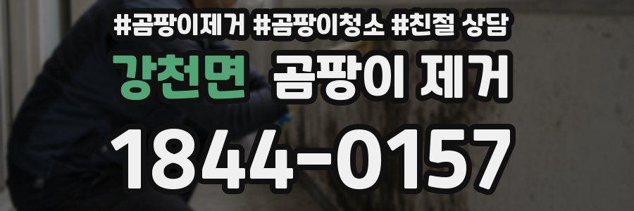 강천면 곰팡이 제거