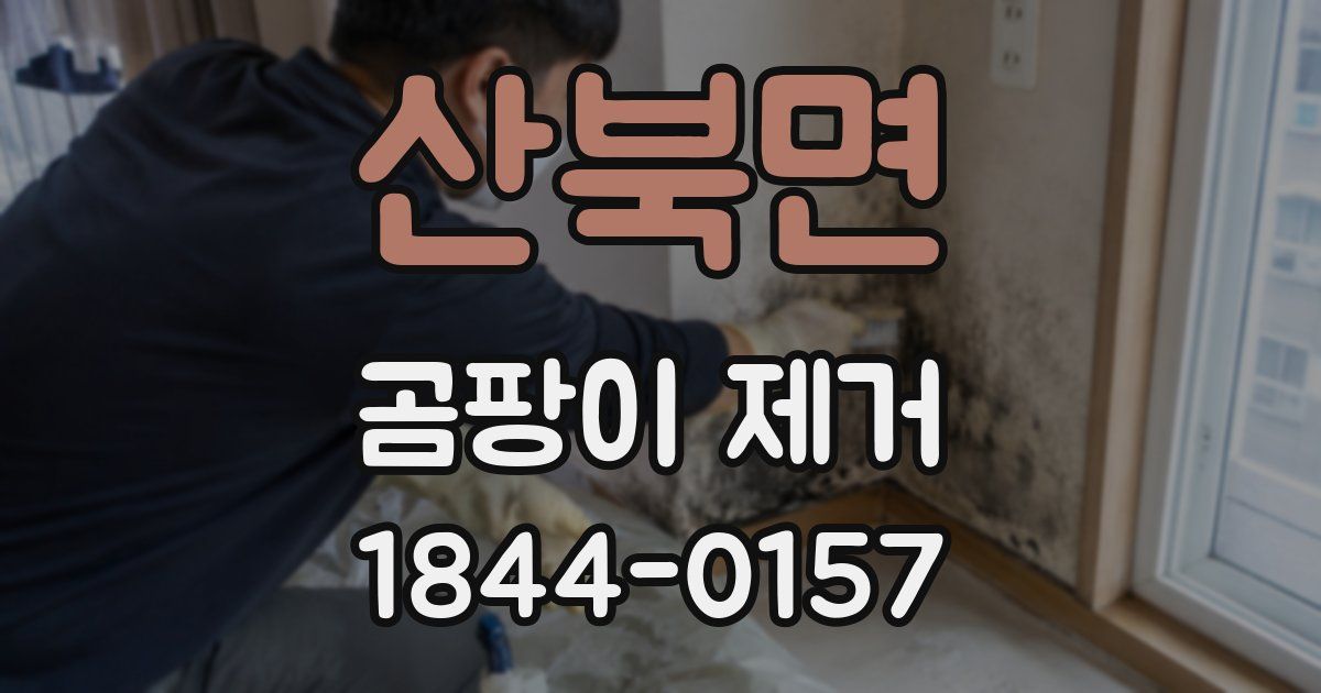 산북면 곰팡이 제거