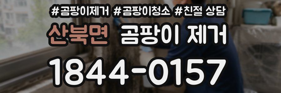산북면 곰팡이 제거