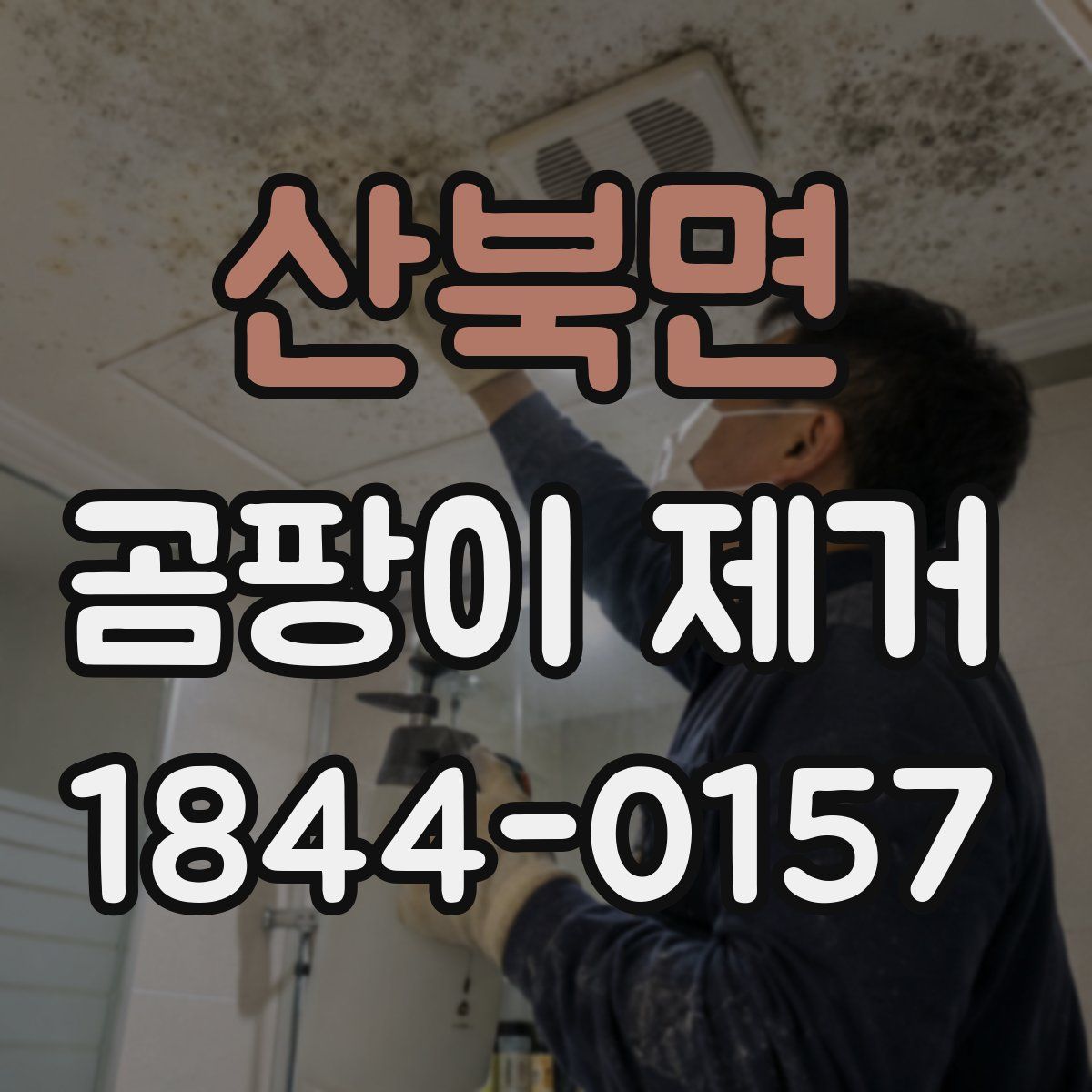 산북면 곰팡이 제거