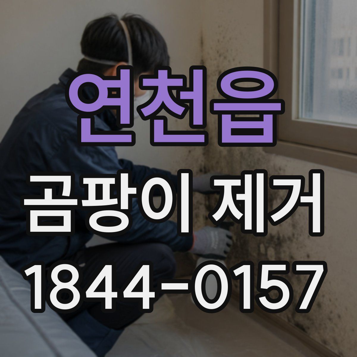연천읍 곰팡이 제거