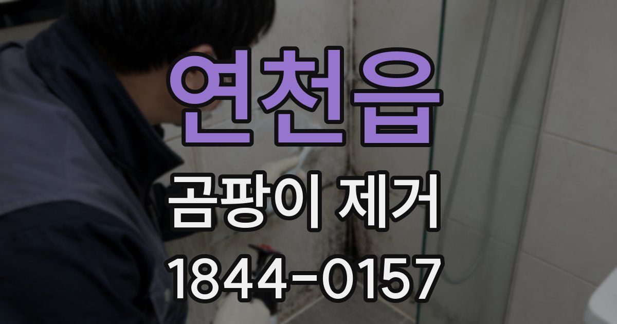 연천읍 곰팡이 제거