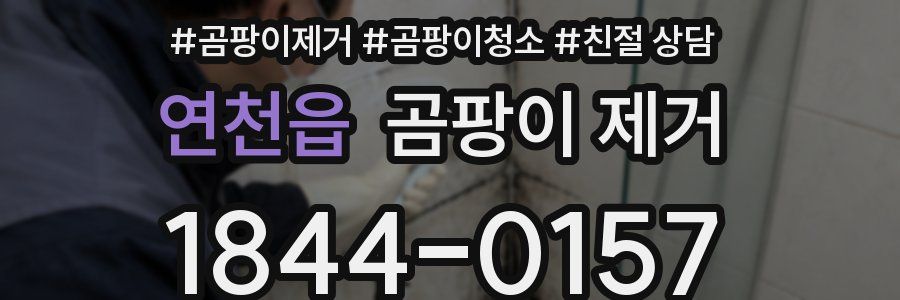 연천읍 곰팡이 제거
