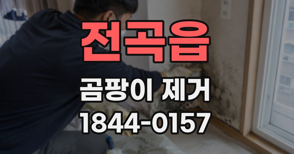 전곡읍 곰팡이 제거