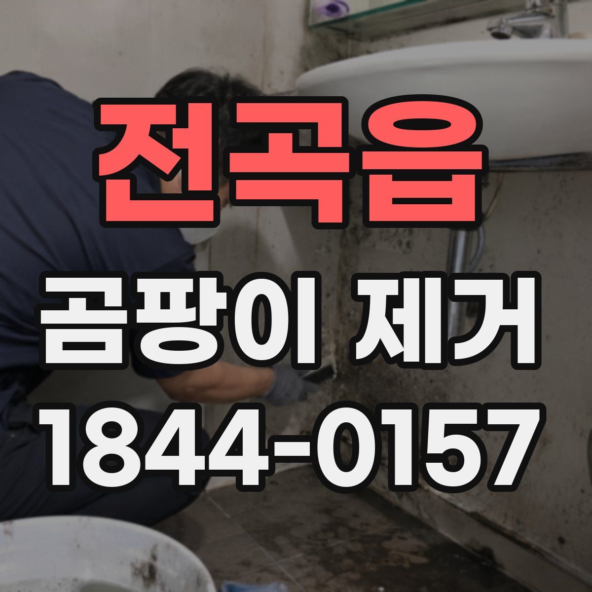 전곡읍 곰팡이 제거