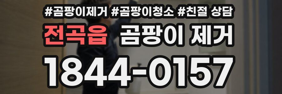 전곡읍 곰팡이 제거