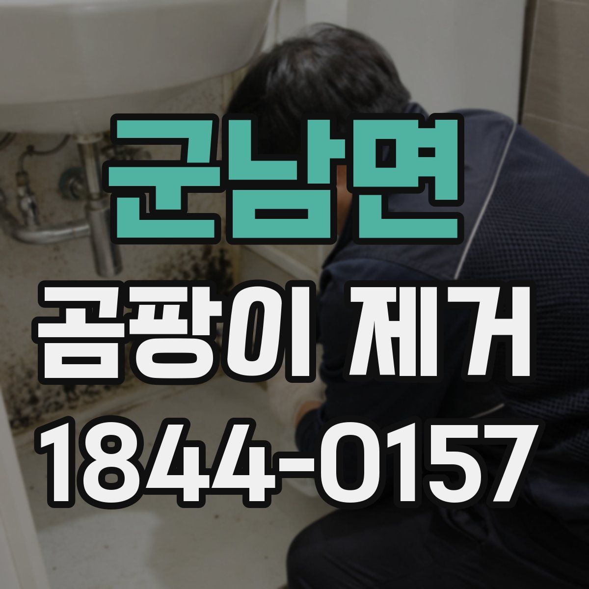 군남면 곰팡이 제거