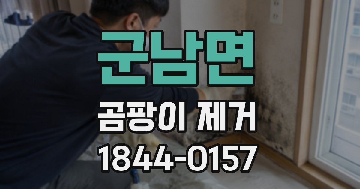 군남면 곰팡이 제거