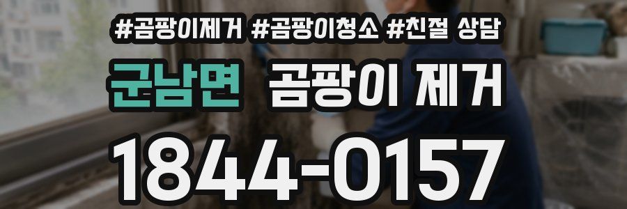 군남면 곰팡이 제거