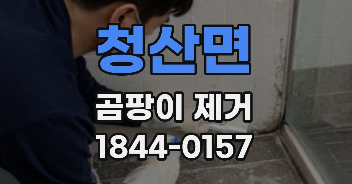 청산면 곰팡이 제거