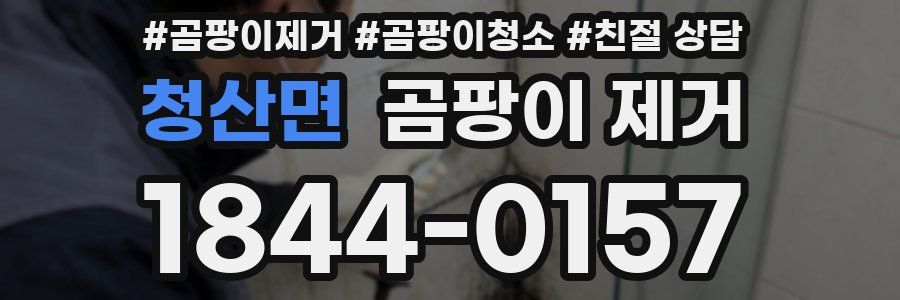 청산면 곰팡이 제거